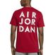 Футболка Air Jordan Performance GFX Crew T-Shirt CZ8087-687