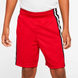 Детские шорты Jordan Basketball Shorts 857115-R78