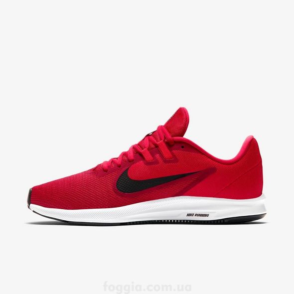 Кросівки Nike Downshifter 9 Shoes AQ7481-600